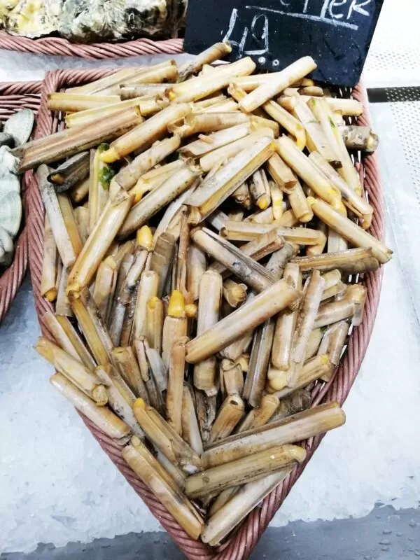 COUTEAUX DE MER