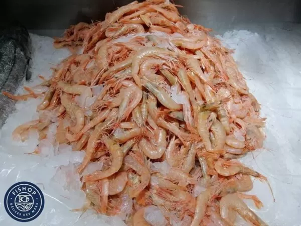 CREVETTES ROSES MOYENNES