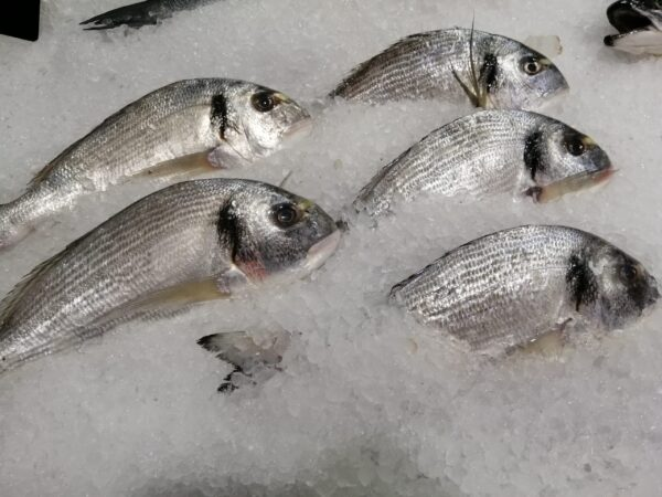 DORADE PORTION
