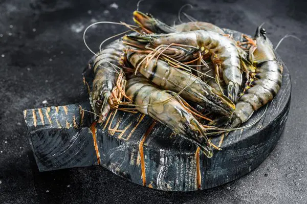 CREVETTES TIGREES 1KG